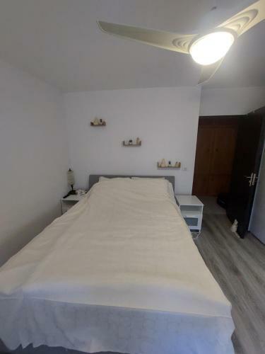 Camelia Apartment
