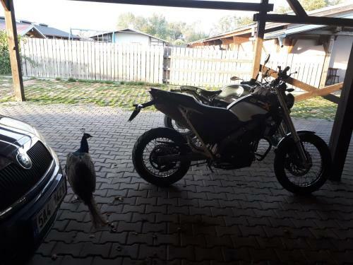 Hostal Banarka - Penzion, Camping, Caravan Park, Enduro