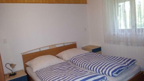 Hostal Banarka - Penzion, Camping, Caravan Park, Enduro