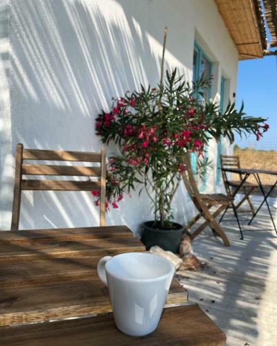 Hostal Mediterana Bungalows