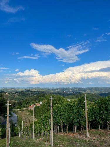Holiday House Tomajna