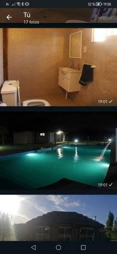 Complejos Privado Olivos Y Ciruelos