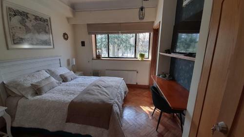 Bed & Breakfast Double Room In Lastarria Neighborhood
