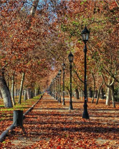 Bed & Breakfast Double Room In Lastarria Neighborhood