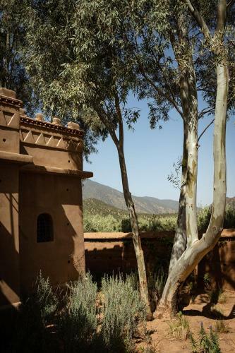 Hotel Olinto, Atlas Mountain Retreat - Adults Only