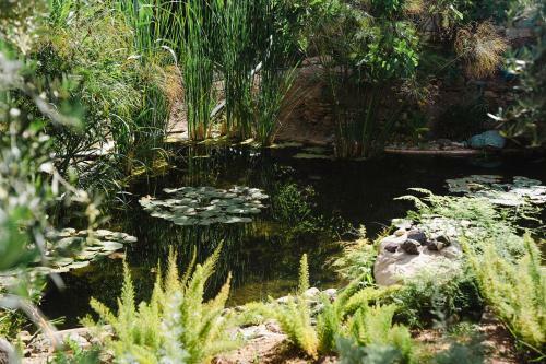 Hotel Olinto, Atlas Mountain Retreat - Adults Only