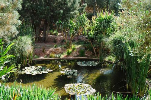 Hotel Olinto, Atlas Mountain Retreat - Adults Only