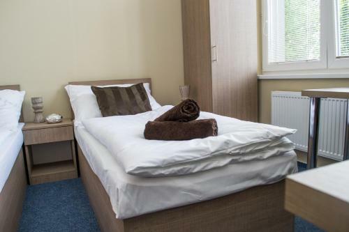 Hostal Penzion S Wellness Uhersk� Hradi?t?