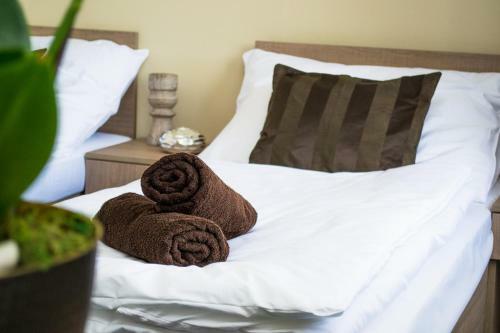 Hostal Penzion S Wellness Uhersk� Hradi?t?
