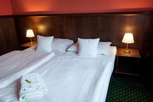 Hotel U Hejtmana ?arovce