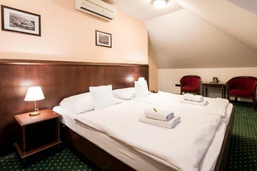 Hotel U Hejtmana ?arovce