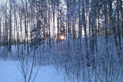 Cottage In Yagodnoye