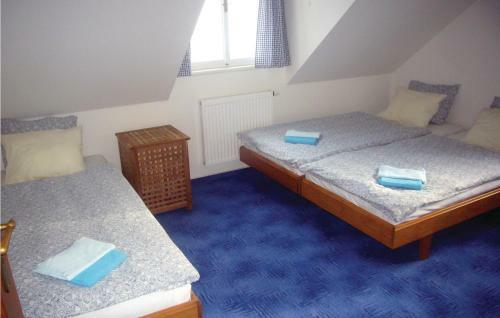Apartment Janov U/vis Ef-762