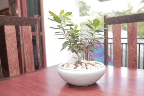 Apartamento Kerala Villa