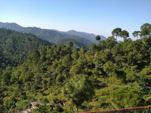 Satyam Home Stay
