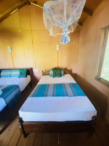 Hotel Hidden Kingdom Tree House