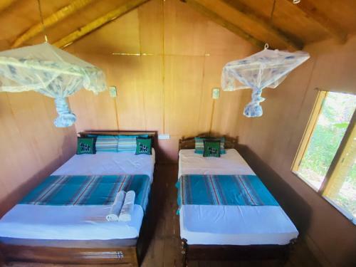 Hotel Hidden Kingdom Tree House