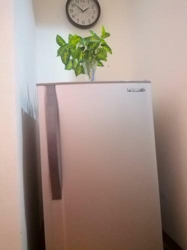 Apartamento Ania Summer Rooms