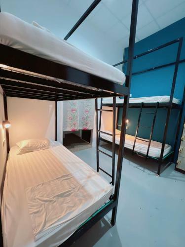 Hostal Summer Spring