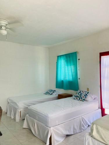Hostal Departamento Con Alberca