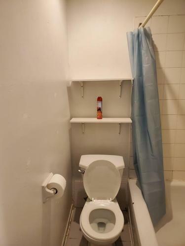 Montreal Downtown  Pet Friendly  Room A B C