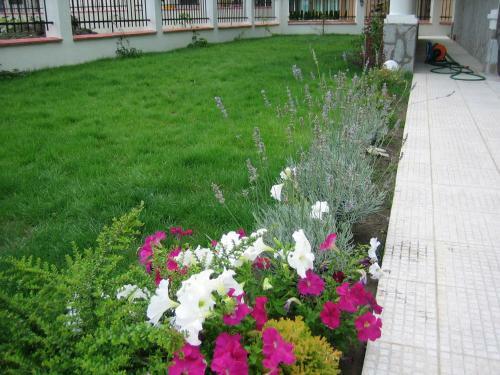 Chateau Del Mar Holiday Apartments