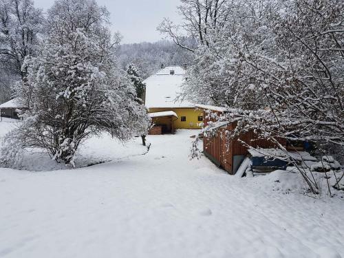 Apartamento Jedlinka 37
