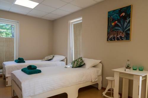 Posada J�esuu Guesthouse
