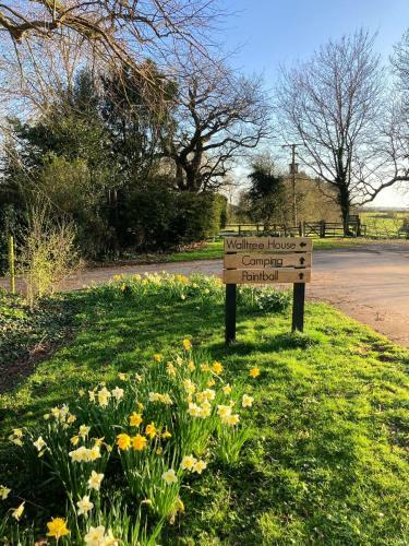 Walltree House Glamping