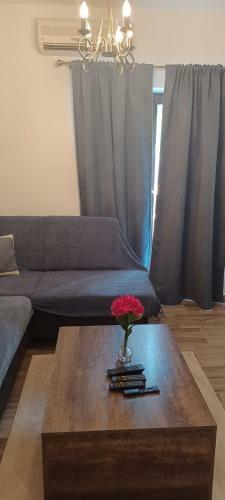 Apartamento Rr