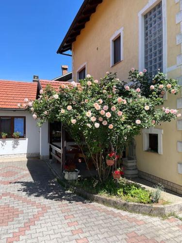 Sweet Apartment In Oto?ac