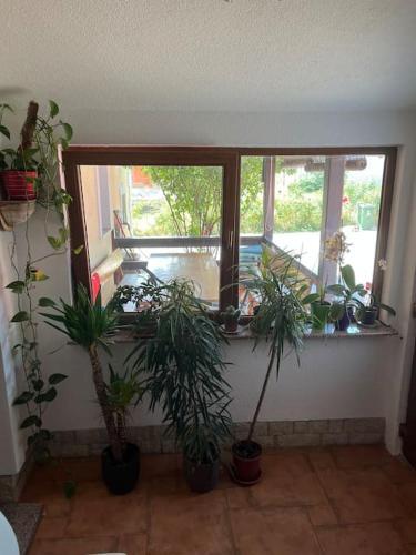 Sweet Apartment In Oto?ac