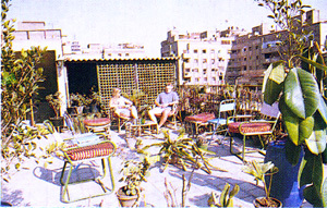 Hotel Windsor