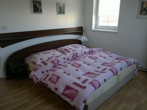 Hostal Vila Patricie