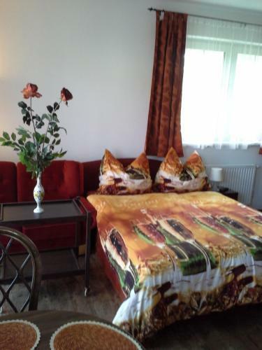 Hostal Vila Patricie
