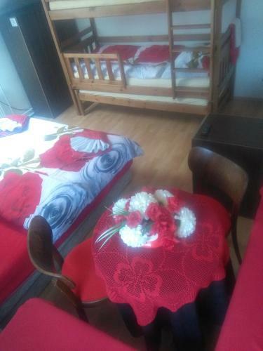 Hostal Vila Patricie