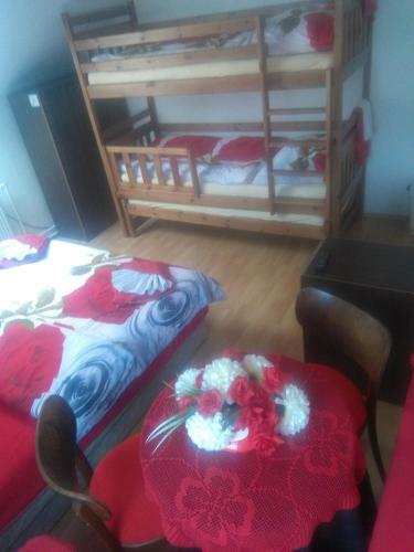 Hostal Vila Patricie