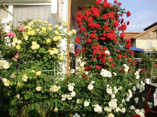 Hostal Pension Casa Margo
