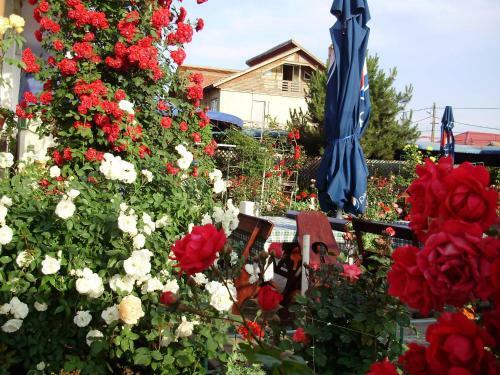 Hostal Pension Casa Margo