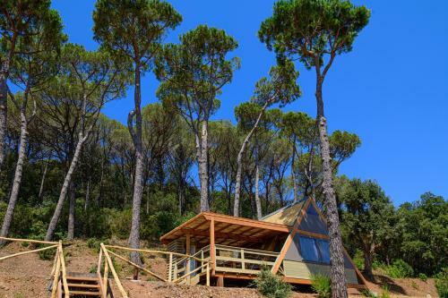 Il Castagno Toscana Glamping