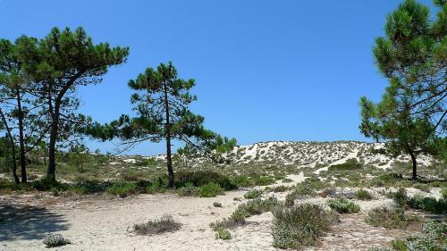 Apartamento Comporta Beach House