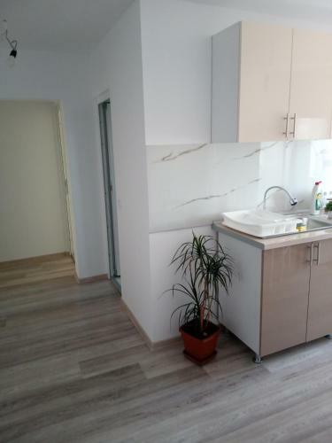 Apartament Alyn