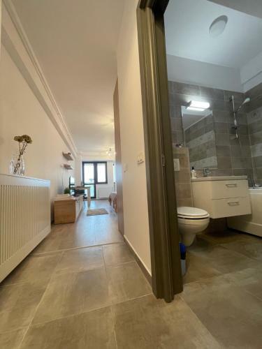 Apartamento Studio Near Palas Mall