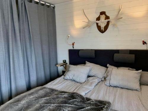 Modern Fj�llstuga Med Ski In-ski Out L�ge.