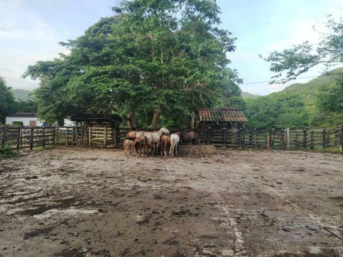 La Mello Adventure Lodge