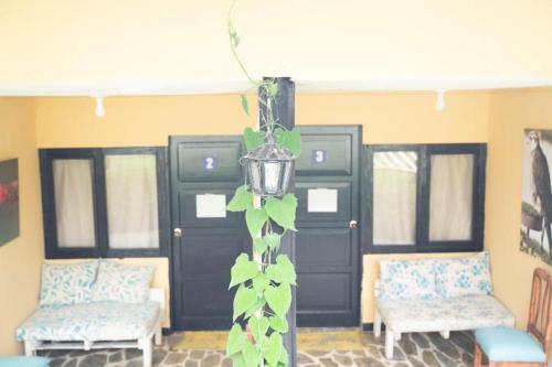 Hotel La Campi�a Alemana