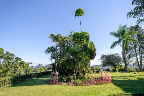 Hotel Eco Da Floresta