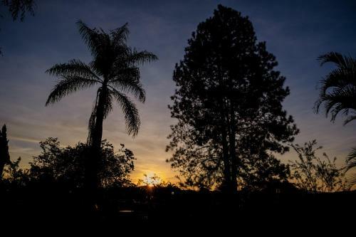 Hotel Eco Da Floresta