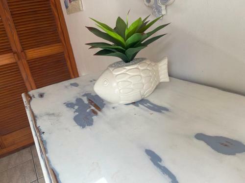 Apartamento Ocean Echo-margate Kzn