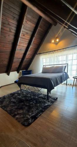 Room In A Private Bird Sanctuary